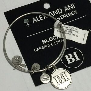 🔥Designers Alex & Ani Block Island Energy Silver bangles JA19